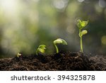 Young plant growing in the morning light and green nature bokeh background  , new life growth ecology business financial progress concept ,Earth Day 