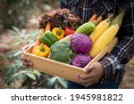 Young Asian man farmer with freshly picked vegetables in basket. Hand holding wooden box with vegetables in field. Fresh Organic Vegetables from local producers ready for transport.
