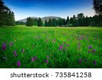 Krkonose mountain, flowered meadow in the spring, forest hills, misty morning with fog and beautiful clouds, peak of Snezka hill in the background, Czech landscape. Broad-leaved Marsh Orchid.
