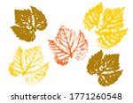 set of leaf imprints  natural... | Shutterstock .eps vector #1771260548