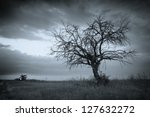 Lonely Dead Tree. Art Nature.