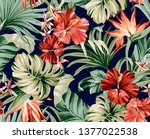 seamless pattern exotic... | Shutterstock . vector #1377022538