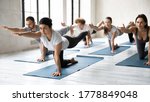 Focused young indian yoga instructor practicing bird dog position with serious motivated fit sporty diverse students. Active multiracial people doing parsva balasana, improving body balance indoors.