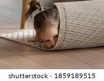 Adorable small girl wrapped in rug lying on warm wooden laminate floor in modern living room alone, close up view. Playtime funny hiding games, professional cleaning carpet company services ad concept