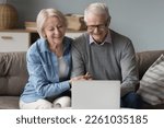 Cheerful senior retired couple enjoying family conversation on video call, sitting on couch at laptop, smiling, looking at screen. Older husband and wife watching movie, online TV streaming