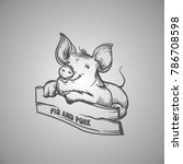 Sketch Of Pig. Engraved Pig And ...