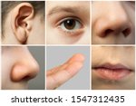 Set of the human senses. Parts from the child's face. Nose, eye, ear, lips and fingers.