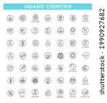 natural organic cosmetics ... | Shutterstock .eps vector #1990927682