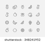 set of outline stroke fruit... | Shutterstock .eps vector #348241952
