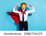 Small photo of Photo of strong courage guy lion mask save planet world show muscles isolated over blue color background