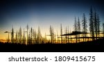 nature shots with trees and... | Shutterstock . vector #1809415675