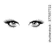 Eyes Of Woman Clipart Free Stock Photo - Public Domain Pictures