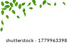 falling green leaves. fresh tea ... | Shutterstock .eps vector #1779963398