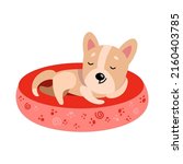 cute funny dog   sleeps on... | Shutterstock .eps vector #2160403785