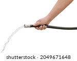 Female Woman's hand holding running water black garden hose on isolated white background