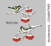 winter birds great tits sitting ... | Shutterstock .eps vector #2106847985