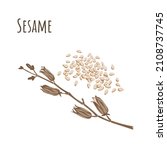 sesame seeds seasoning and... | Shutterstock .eps vector #2108737745