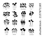 set of main flowers silhouettes ... | Shutterstock .eps vector #2157871185
