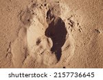 Abstract sand background. Horseshoe imprint in sand