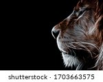 Fractals Background Big Cat Lion