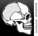 skull head illustration.... | Shutterstock .eps vector #1892334205