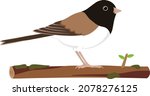 north american birds  vector... | Shutterstock .eps vector #2078276125