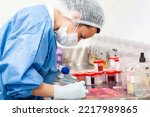 Small photo of Scientist processing biopsy samples at the pathology laboratory to be embedded in paraffin for analysis. Cancer diagnosis concept. Medical concept.