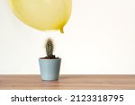 Small photo of Balloons floatingon air close to cactus. Risk, danger zone, tense concept.