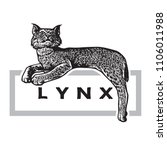 Wild Lynx In Graphic Engraving...