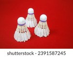 some used shuttlecocks, made of goose feathers, with purple ribbons. on red background