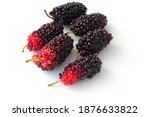 fresh mulberries isolated on... | Shutterstock . vector #1876633822