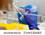 Small photo of Scientist pipetting sample into vial for DNA testing. scientist loads samples DNA amplification by PCR into plastic PCR strip tubes. Biochemistry specialist works with lab equipment and glassware