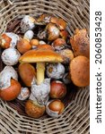 Small photo of Caesar's mushroom in a wicker basket. Vertical picture of collected edible amanita caesarea mushroom.