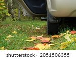 autumn leaves expensive car wheels maple
