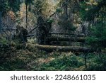 Fallen Trees Within A Forest....