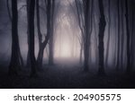 Path Through A Dark Forest At...