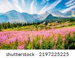 Tatra National Park in Poland. Tatra mountains panorama, Poland colorful flowers and cottages in Gasienicowa valley (Hala Gasienicowa) Hiking in nature landscape
