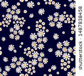 Cute Pattern With Daisies And...
