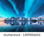 Northern lights and snow covered mountains in Lofoten islands, Norway. Aurora borealis. Starry sky with polar lights and snowy rocks reflected in water. Night winter landscape with aurora, sea. Nature