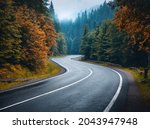 Road in autumn foggy forest in rainy day. Beautiful mountain roadway, trees with orange foliage in fog and overcast sky. Landscape with empty asphalt road through the woods in fall. Travel. Road trip