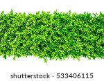 green hedge or Green Leaves Wall