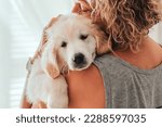 Small photo of portrait depressed senior woman hugging dog puppy golden retriever pet therapy canisterapy old adults emotion mental health friends love tightly depression,anxiety,tired elderly cry alone home