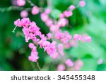 Soft Blurred Flowers Style For...