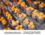 Small photo of Navel orange, honeybell oranges, tomatoes, mangos carton boxes on shelves display roadside market stand in Santa Rosa, Destin, Florid, homegrown fruits summer harvest stall. Organic food local grow