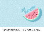 watermelon inflatable floating... | Shutterstock .eps vector #1972584782