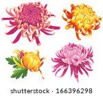  Set Of Four Chrysanthemum...