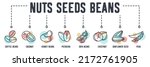 Nuts  Seeds And Beans Banner...
