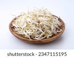 Sprouts or bean sprouts are young plants (sporophytes) that have just developed from the embryonic stage in the seed. This stage of development is called germination and is a critical stage in plant 