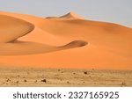 Panorama of the Algerian Sahara with dunes