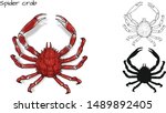 Crab Vector By Hand Drawing...